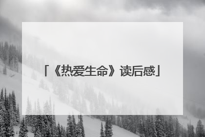 《热爱生命》读后感