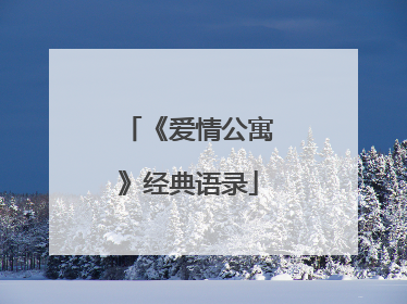《爱情公寓》经典语录