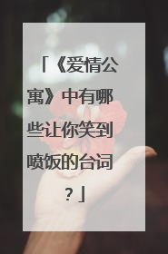 《爱情公寓》中有哪些让你笑到喷饭的台词？
