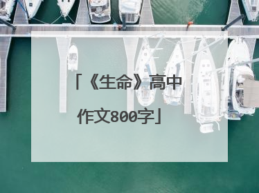 《生命》高中作文800字