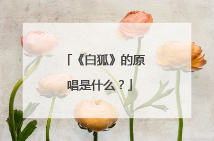 《白狐》的原唱是什么?