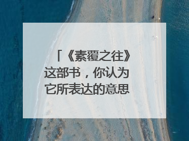 《素覆之往》这部书,你认为它所表达的意思是什么?