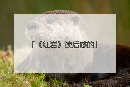 《红岩》读后感的