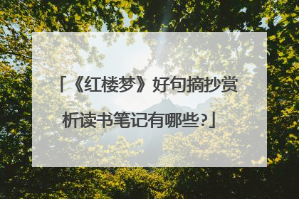 《红楼梦》好句摘抄赏析读书笔记有哪些?