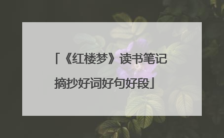 《红楼梦》读书笔记摘抄好词好句好段