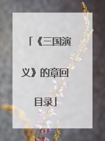 《三国演义》的章回目录