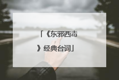 《东邪西毒》经典台词