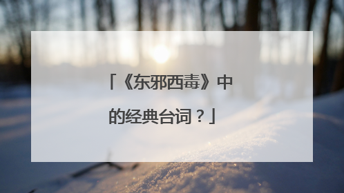 《东邪西毒》中的经典台词?