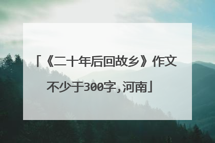 《二十年后回故乡》作文不少于300字,河南
