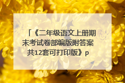 《二年级语文上册期末考试卷部编版附答案共12套可打印版》pdf下载在线阅读全文,求百度网盘云资源