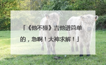 《他不懂》吉他谱简单的，急啊！大神求解！