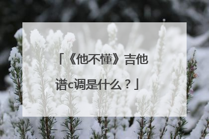 《他不懂》吉他谱c调是什么？