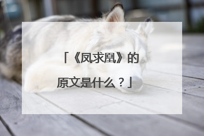 《凤求凰》的原文是什么?