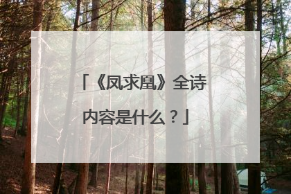 《凤求凰》全诗内容是什么?