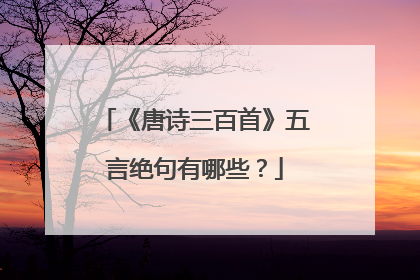 《唐诗三百首》五言绝句有哪些？