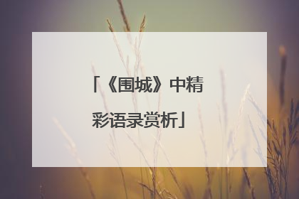 《围城》中精彩语录赏析
