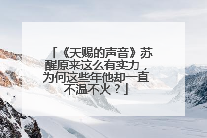 《天赐的声音》苏醒原来这么有实力,为何这些年他却一直不温不火?