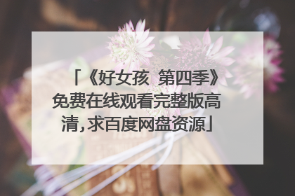 《好女孩 第四季》免费在线观看完整版高清,求百度网盘资源