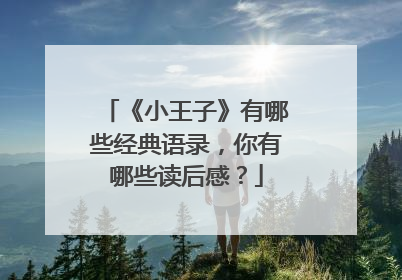 《小王子》有哪些经典语录，你有哪些读后感？