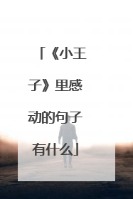 《小王子》里感动的句子有什么