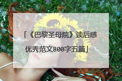 《巴黎圣母院》读后感优秀范文800字五篇