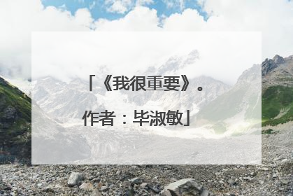 《我很重要》。作者:毕淑敏