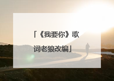 《我要你》歌词老狼改编