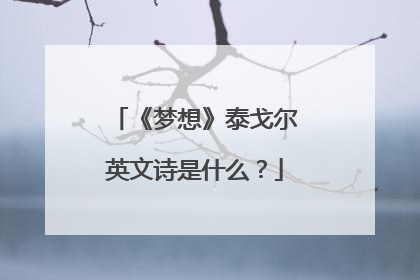 《梦想》泰戈尔英文诗是什么？