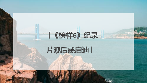《榜样6》纪录片观后感启迪