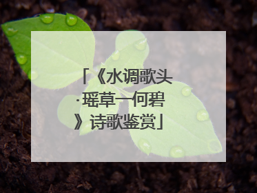 《水调歌头·瑶草一何碧》诗歌鉴赏