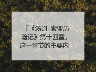 《汤姆.索亚历险记》第十四章,这一章节的主要内容是什么