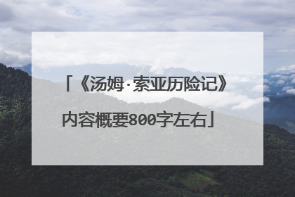 《汤姆·索亚历险记》内容概要800字左右