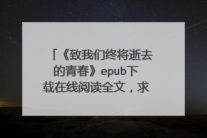 《致我们终将逝去的青春》epub下载在线阅读全文,求百度网盘云资源