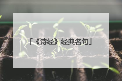 《诗经》经典名句
