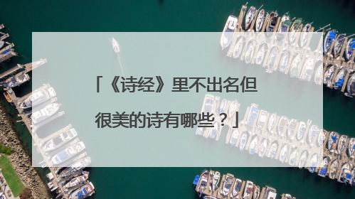 《诗经》里不出名但很美的诗有哪些?