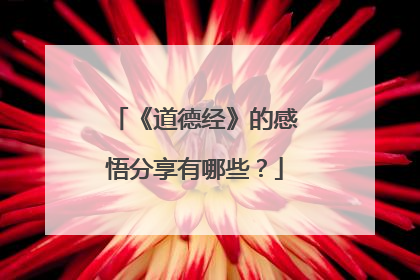 《道德经》的感悟分享有哪些？