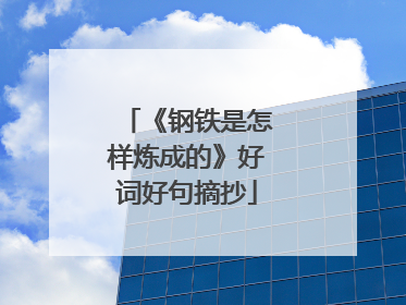 《钢铁是怎样炼成的》好词好句摘抄