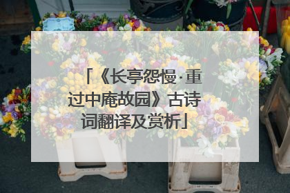 《长亭怨慢·重过中庵故园》古诗词翻译及赏析