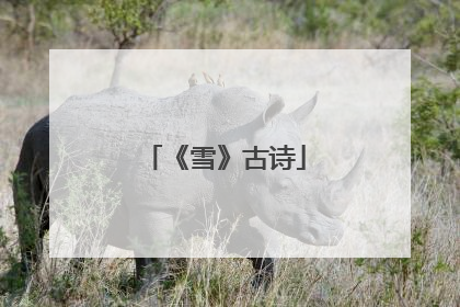 《雪》古诗