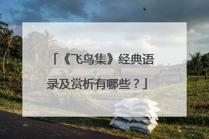 《飞鸟集》经典语录及赏析有哪些？