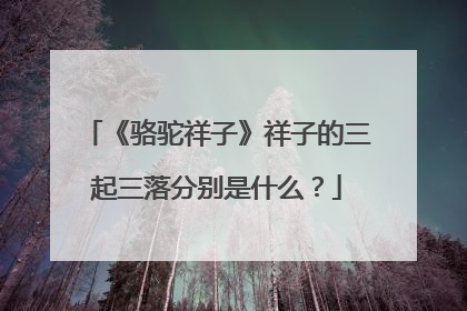 《骆驼祥子》祥子的三起三落分别是什么?