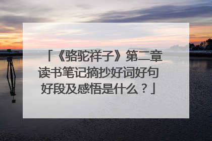 《骆驼祥子》第二章读书笔记摘抄好词好句好段及感悟是什么？