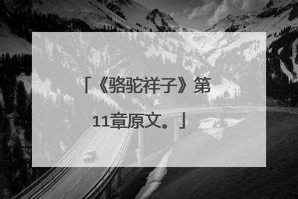 《骆驼祥子》第11章原文。