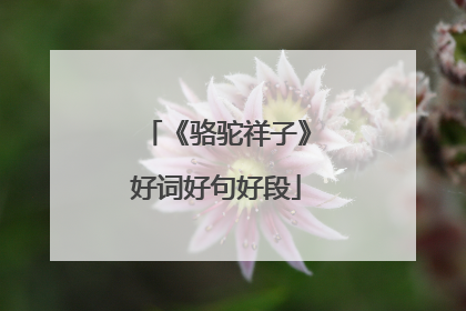 《骆驼祥子》好词好句好段