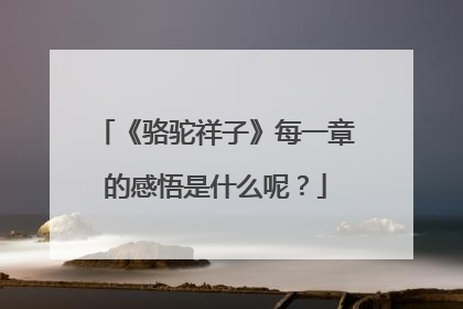 《骆驼祥子》每一章的感悟是什么呢？
