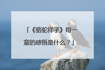 《骆驼祥子》每一章的感悟是什么？