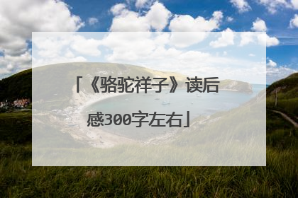 《骆驼祥子》读后感300字左右