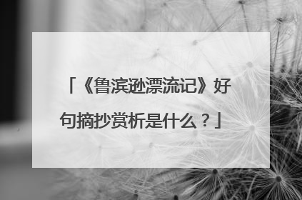 《鲁滨逊漂流记》好句摘抄赏析是什么?