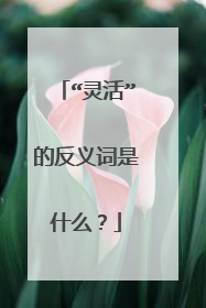 “灵活”的反义词是什么？