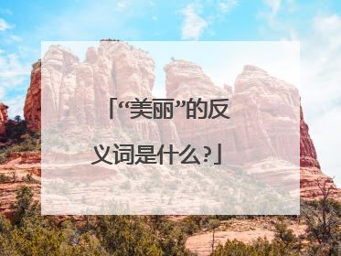 “美丽”的反义词是什么?